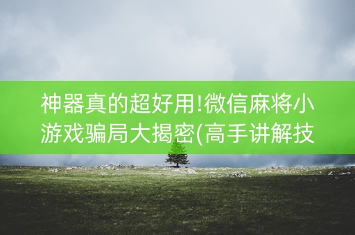 神器真的超好用!微信麻将小游戏骗局大揭密(高手讲解技术)