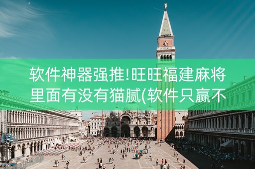 软件神器强推!旺旺福建麻将里面有没有猫腻(软件只赢不输)