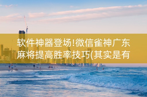 软件神器登场!微信雀神广东麻将提高胜率技巧(其实是有挂确实有挂)