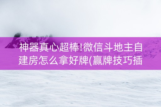 神器真心超棒!微信斗地主自建房怎么拿好牌(赢牌技巧插件安装)