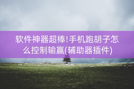 软件神器超棒!手机跑胡子怎么控制输赢(辅助器插件)