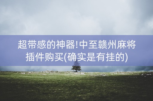 超带感的神器!中至赣州麻将插件购买(确实是有挂的)