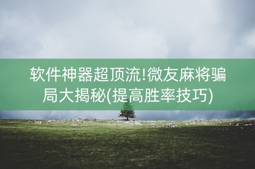 软件神器超顶流!微友麻将骗局大揭秘(提高胜率技巧)