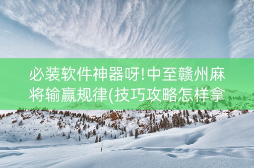 必装软件神器呀!中至赣州麻将输赢规律(技巧攻略怎样拿好牌)