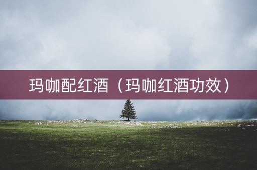 玛咖配红酒（玛咖红酒功效）