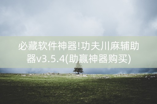 必藏软件神器!功夫川麻辅助器v3.5.4(助赢神器购买)