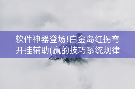 软件神器登场!白金岛红拐弯开挂辅助(赢的技巧系统规律)