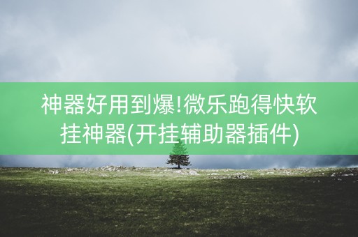 神器好用到爆!微乐跑得快软挂神器(开挂辅助器插件)