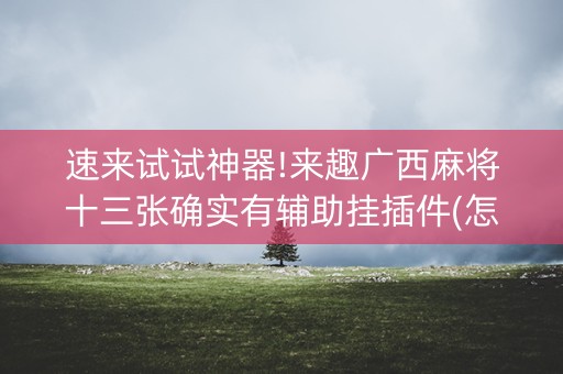 速来试试神器!来趣广西麻将十三张确实有辅助挂插件(怎样才能赢)