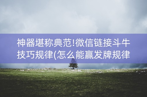 神器堪称典范!微信链接斗牛技巧规律(怎么能赢发牌规律)