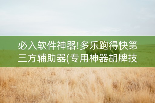 必入软件神器!多乐跑得快第三方辅助器(专用神器胡牌技巧)