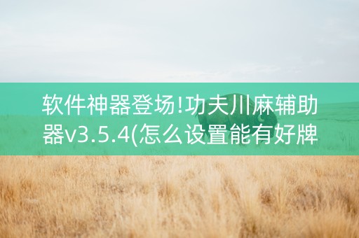 软件神器登场!功夫川麻辅助器v3.5.4(怎么设置能有好牌)