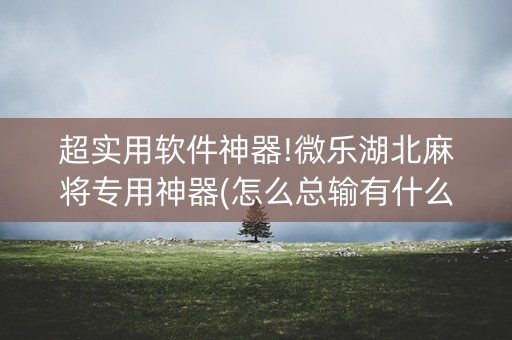超实用软件神器!微乐湖北麻将专用神器(怎么总输有什么猫腻)