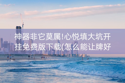 神器非它莫属!心悦填大坑开挂免费版下载(怎么能让牌好一点)