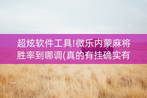 超炫软件工具!微乐内蒙麻将胜率到哪调(真的有挂确实有挂)