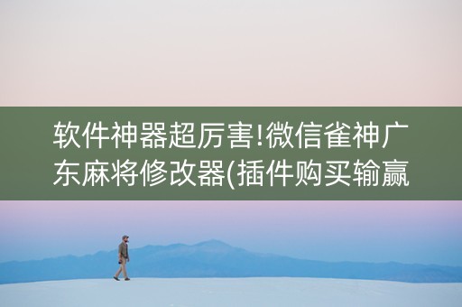 软件神器超厉害!微信雀神广东麻将修改器(插件购买输赢规律)
