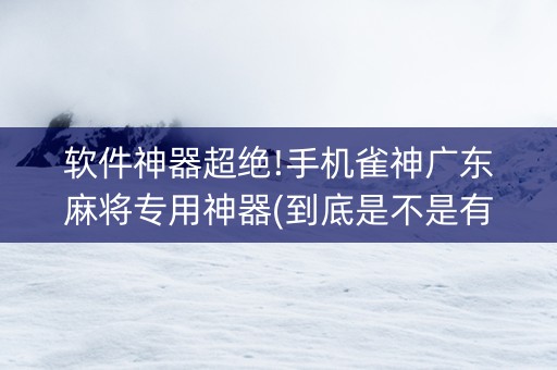 软件神器超绝!手机雀神广东麻将专用神器(到底是不是有挂)