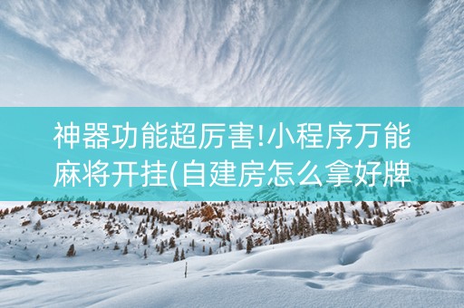 神器功能超厉害!小程序万能麻将开挂(自建房怎么拿好牌)
