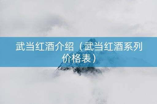 武当红酒介绍（武当红酒系列价格表）