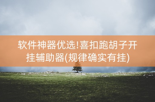 软件神器优选!喜扣跑胡子开挂辅助器(规律确实有挂)