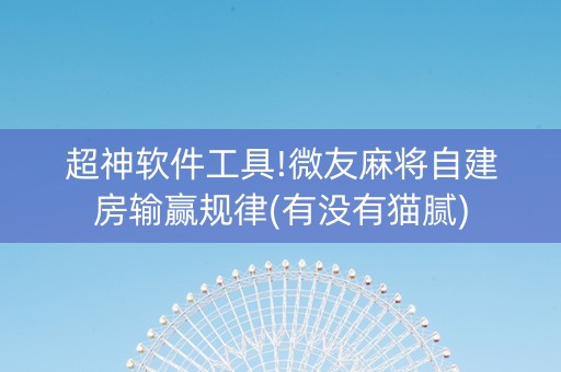 超神软件工具!微友麻将自建房输赢规律(有没有猫腻)