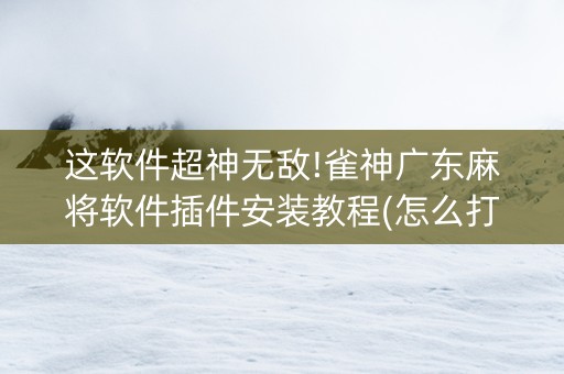 这软件超神无敌!雀神广东麻将软件插件安装教程(怎么打才能赢)