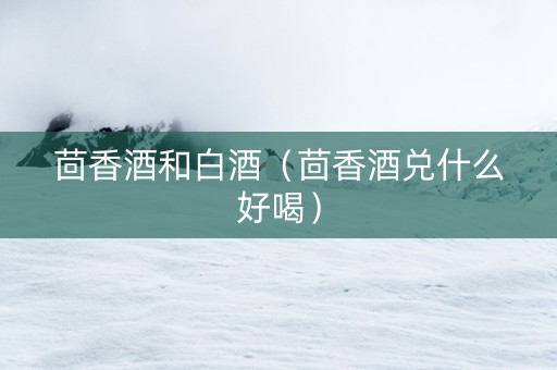 茴香酒和白酒（茴香酒兑什么好喝）