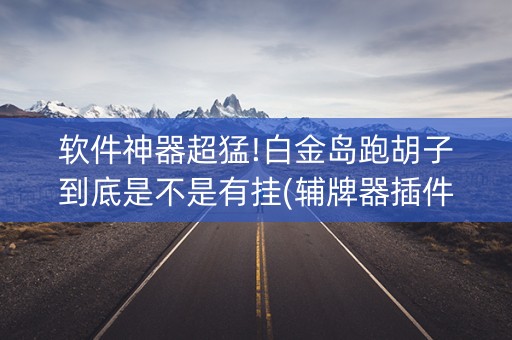 软件神器超猛!白金岛跑胡子到底是不是有挂(辅牌器插件购买)