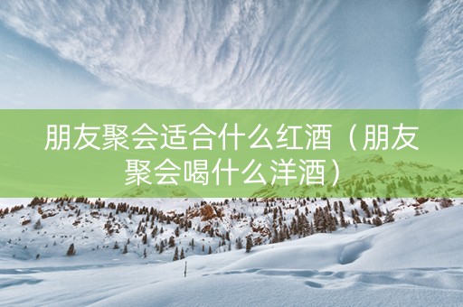 朋友聚会适合什么红酒（朋友聚会喝什么洋酒）