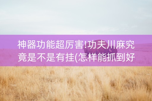 神器功能超厉害!功夫川麻究竟是不是有挂(怎样能抓到好牌)