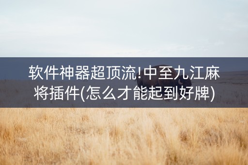 软件神器超顶流!中至九江麻将插件(怎么才能起到好牌)