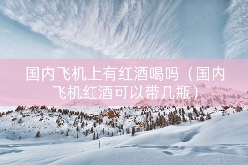 国内飞机上有红酒喝吗（国内飞机红酒可以带几瓶）