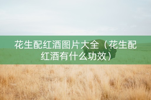 花生配红酒图片大全（花生配红酒有什么功效）