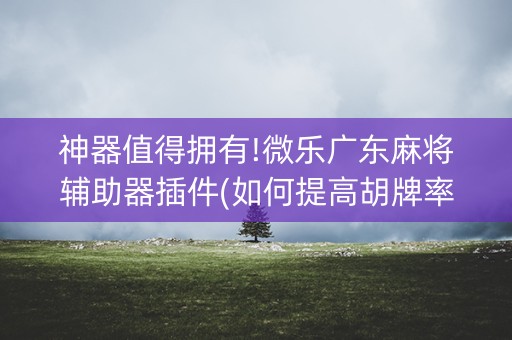 神器值得拥有!微乐广东麻将辅助器插件(如何提高胡牌率)