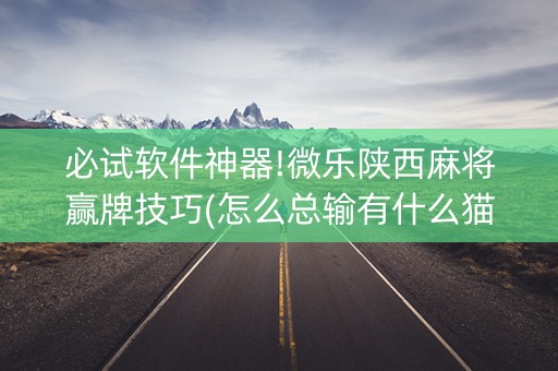 必试软件神器!微乐陕西麻将赢牌技巧(怎么总输有什么猫腻)