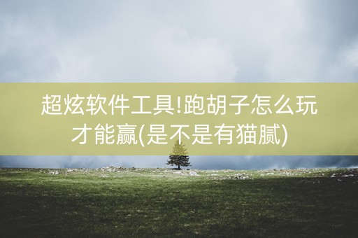 超炫软件工具!跑胡子怎么玩才能赢(是不是有猫腻)