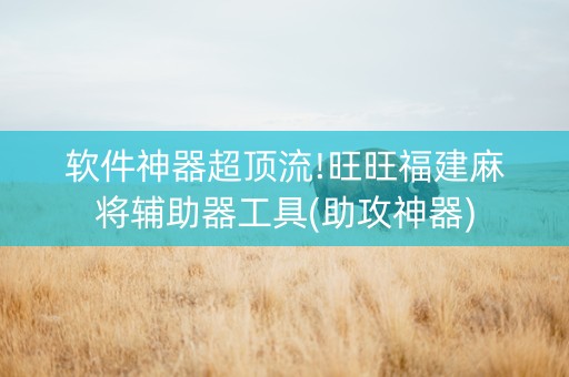 软件神器超顶流!旺旺福建麻将辅助器工具(助攻神器)