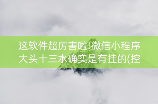 这软件超厉害啦!微信小程序大头十三水确实是有挂的(控牌神器)