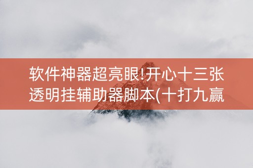 软件神器超亮眼!开心十三张透明挂辅助器脚本(十打九赢的打法)