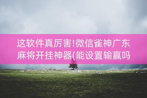 这软件真厉害!微信雀神广东麻将开挂神器(能设置输赢吗)