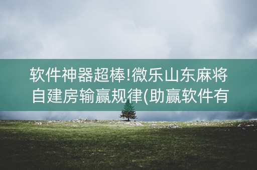 软件神器超棒!微乐山东麻将自建房输赢规律(助赢软件有规律吗)