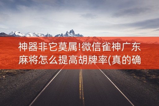 神器非它莫属!微信雀神广东麻将怎么提高胡牌率(真的确实是有挂)
