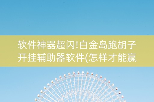 软件神器超闪!白金岛跑胡子开挂辅助器软件(怎样才能赢)