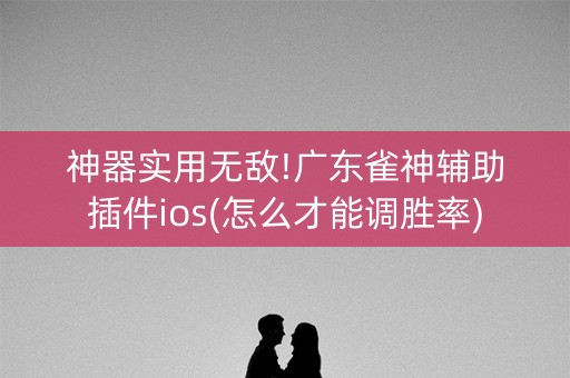 神器实用无敌!广东雀神辅助插件ios(怎么才能调胜率)