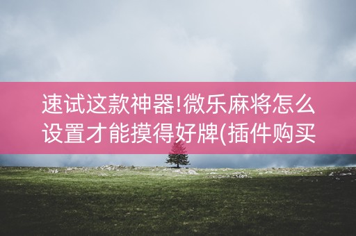 速试这款神器!微乐麻将怎么设置才能摸得好牌(插件购买输赢规律)