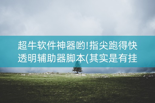 超牛软件神器哟!指尖跑得快透明辅助器脚本(其实是有挂的)