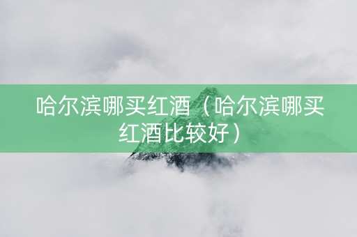 哈尔滨哪买红酒（哈尔滨哪买红酒比较好）