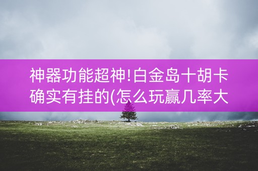 神器功能超神!白金岛十胡卡确实有挂的(怎么玩赢几率大)