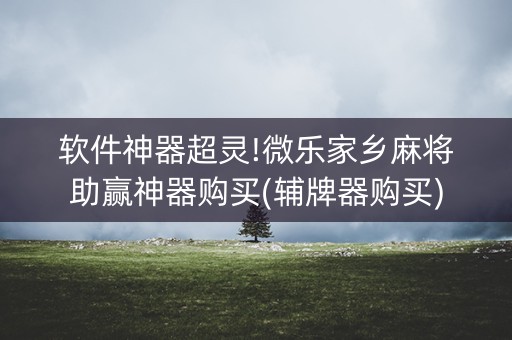 软件神器超灵!微乐家乡麻将助赢神器购买(辅牌器购买)