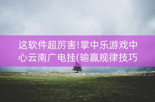 这软件超厉害!掌中乐游戏中心云南广电挂(输赢规律技巧)